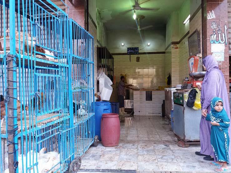 الدجاج المجمد بغزة بعد الاسعار الغالية